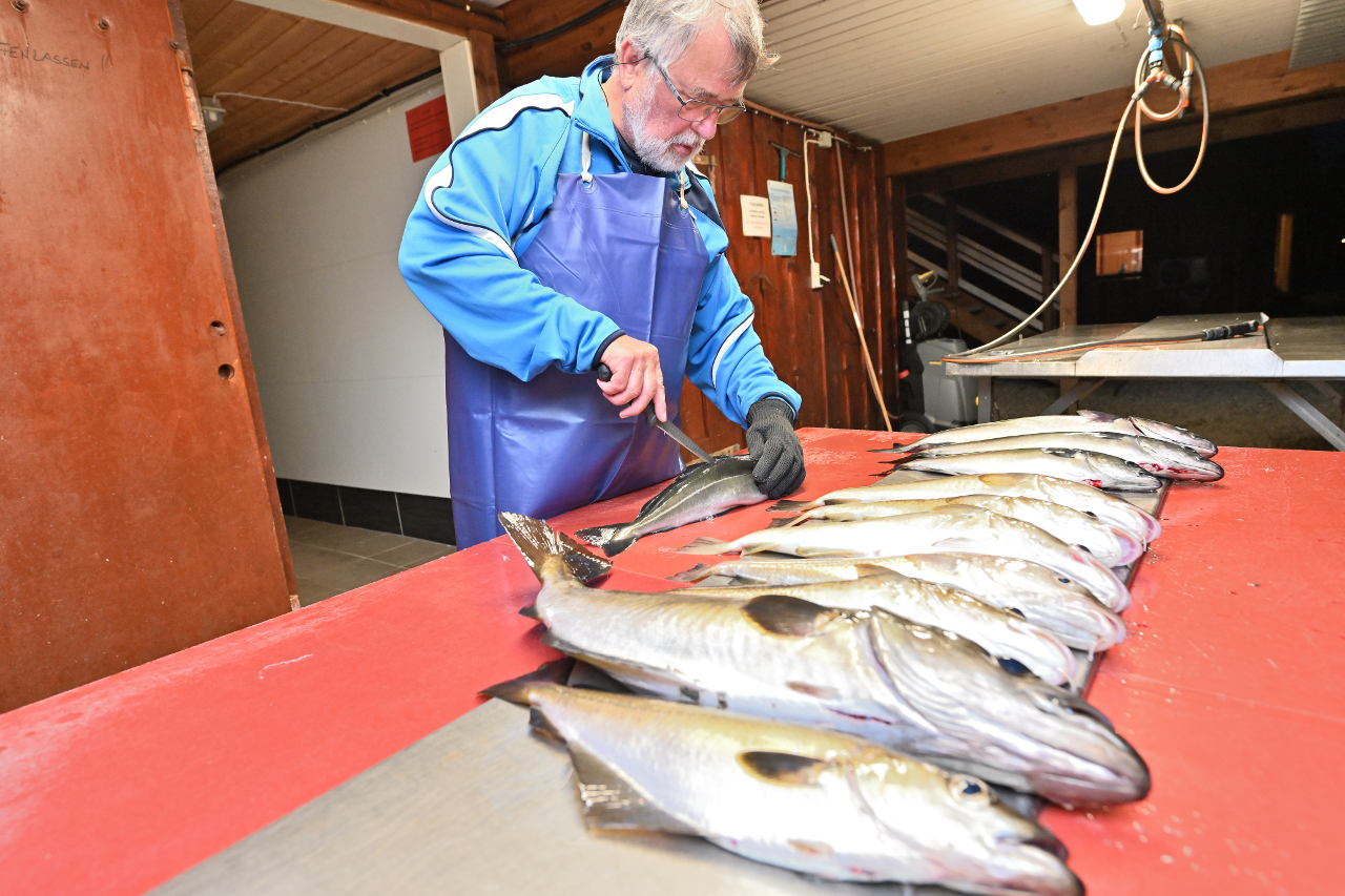 Dietmar beim Filetieren