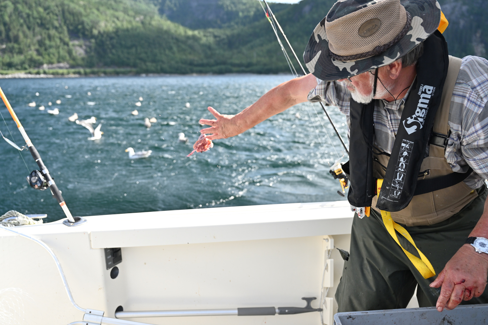 und füttert wieder die Möwen