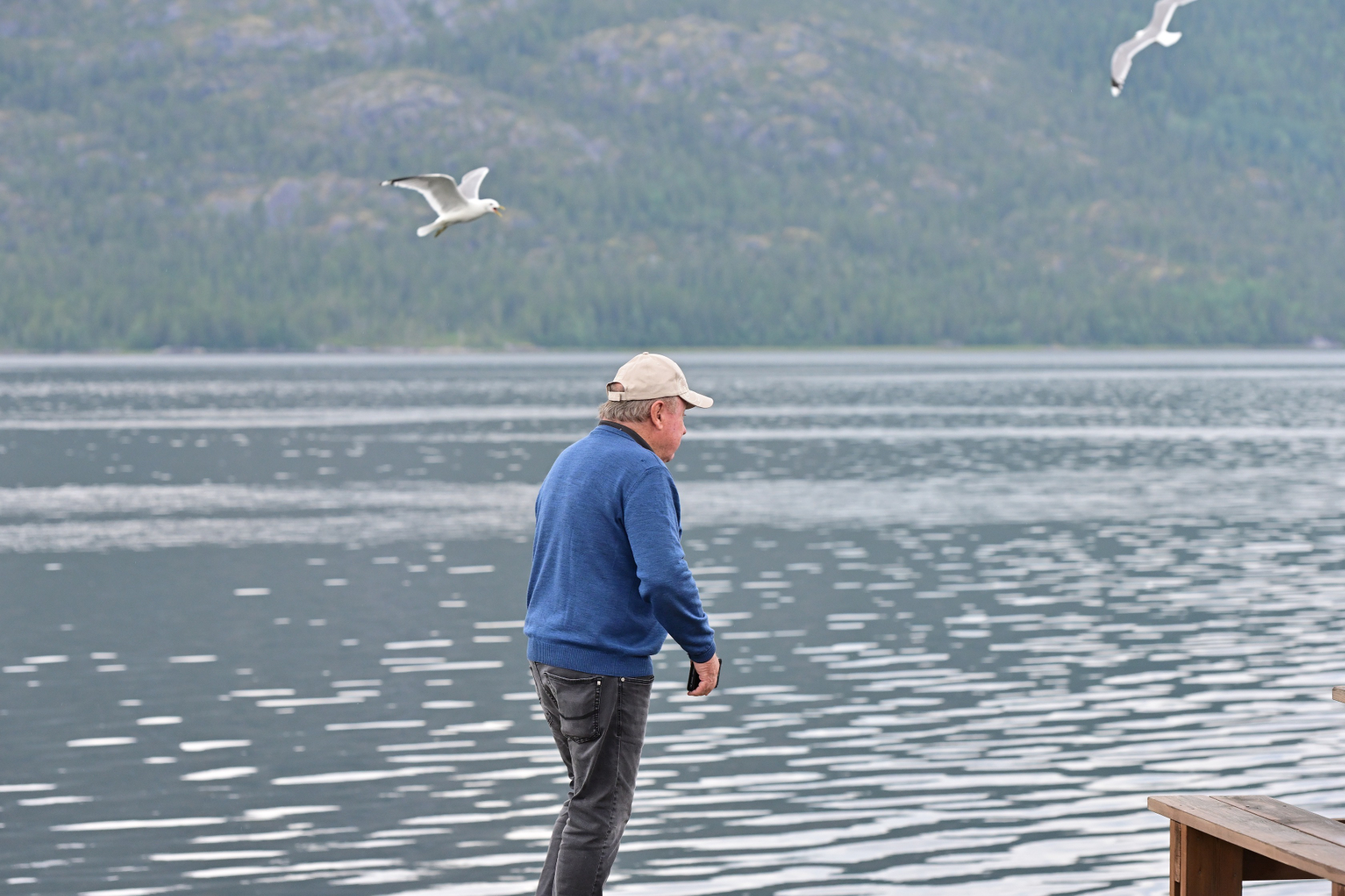 Zweibeiner in der Gefahrenzone