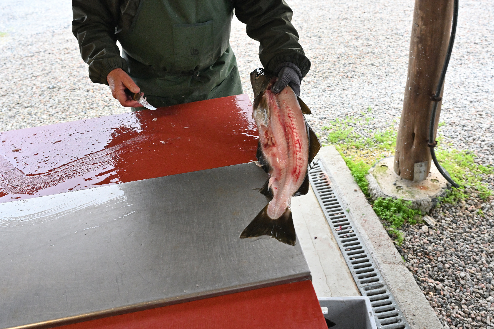 Der Abfall wandert in die Kiste und später in den Fjord