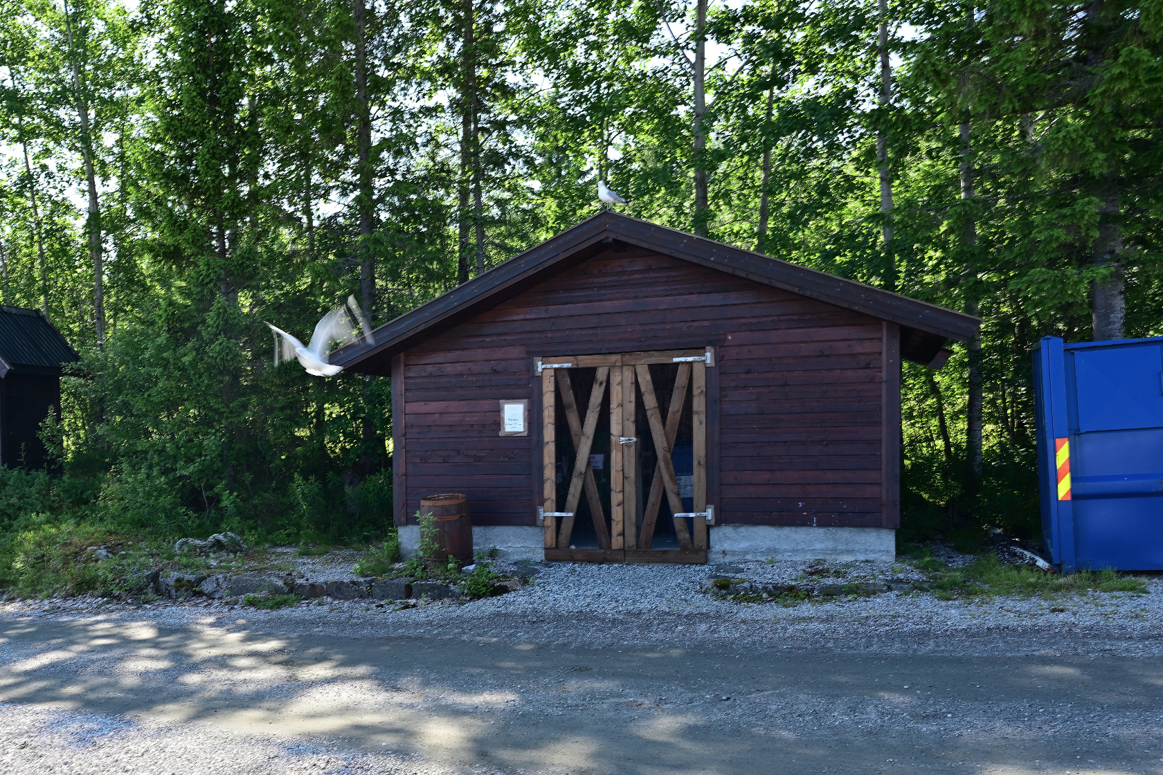 Ein Feind nähert sich dem Nest