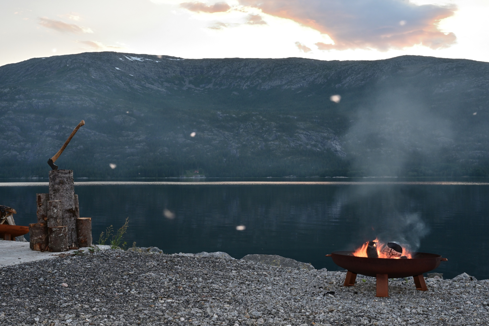 Die weißen Punkte auf dem Bild sind die vielen kleinen Fliegen