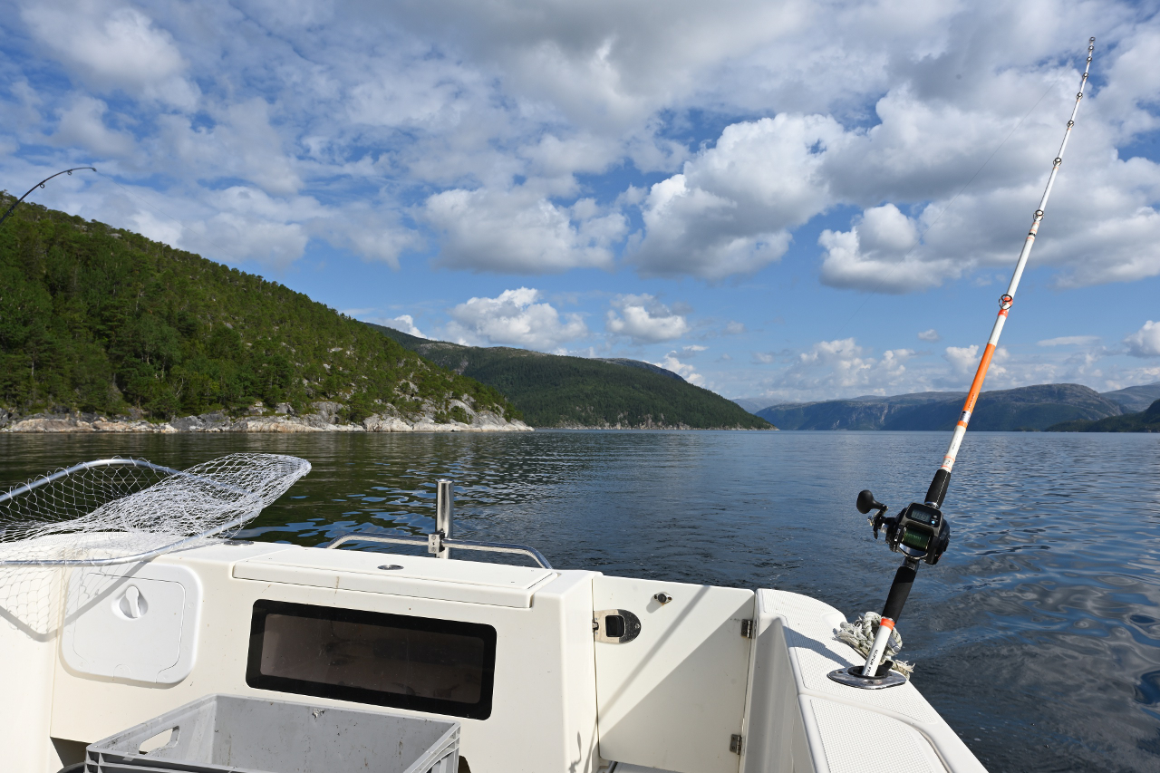 Auch mit Wobbeln (Schleppangeln) waren wir bisher nicht erfolgreich