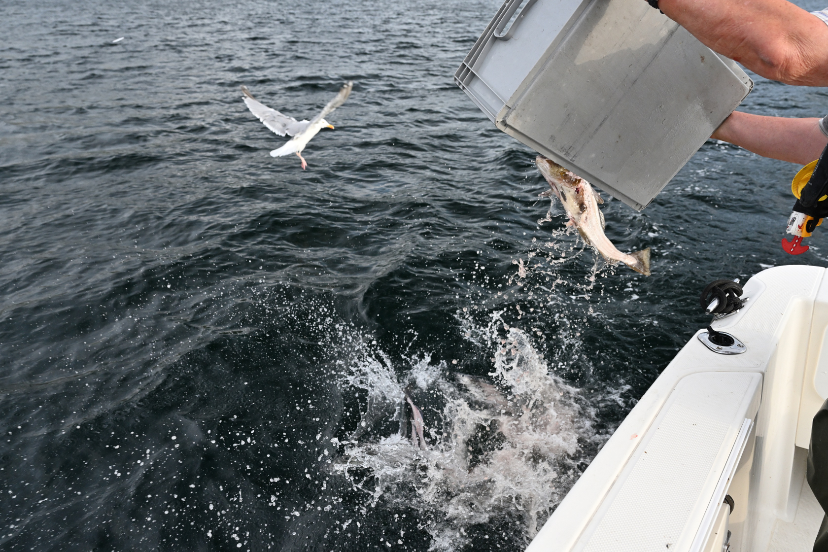 dem Fjord übergeben