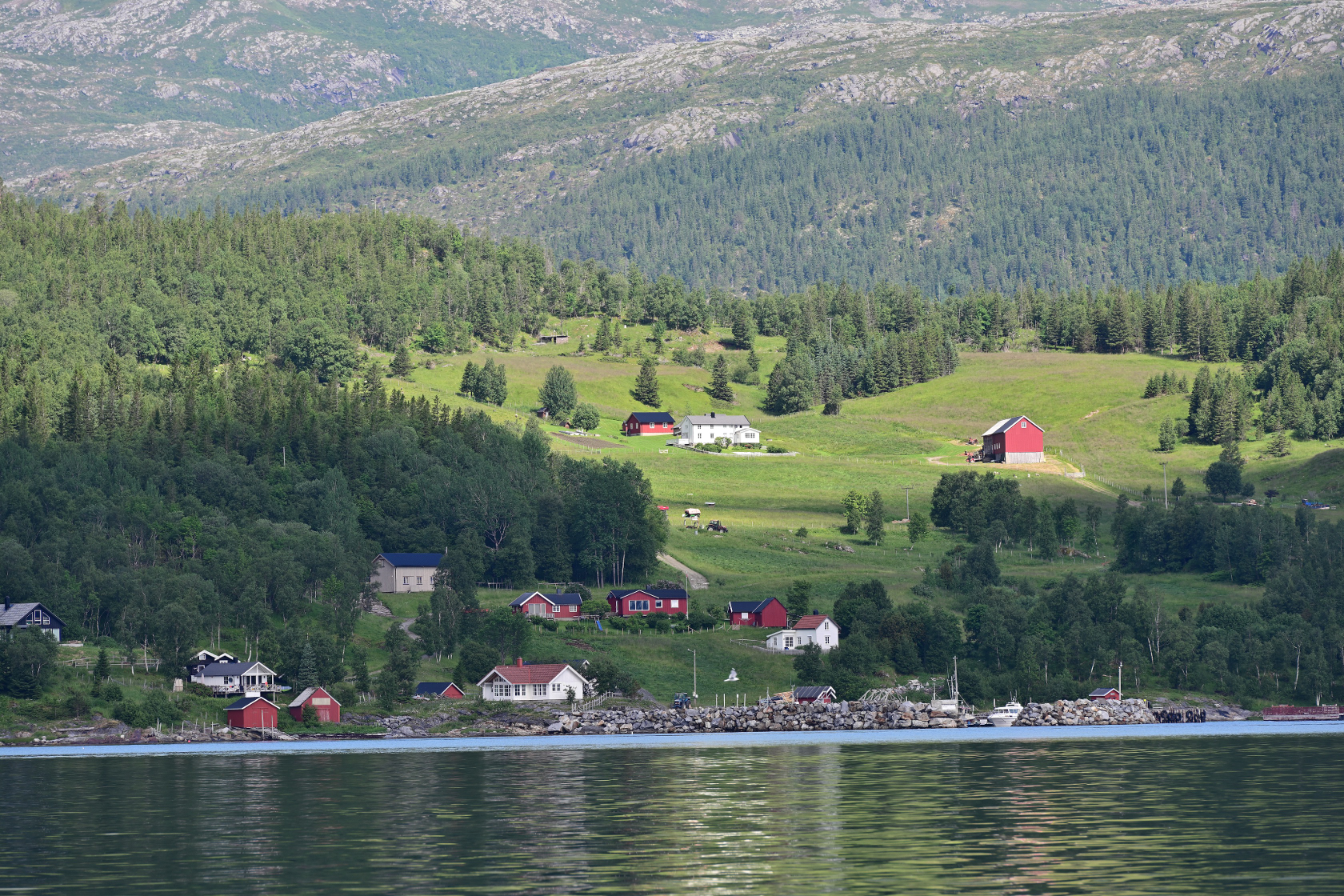 Häuser am Fjord