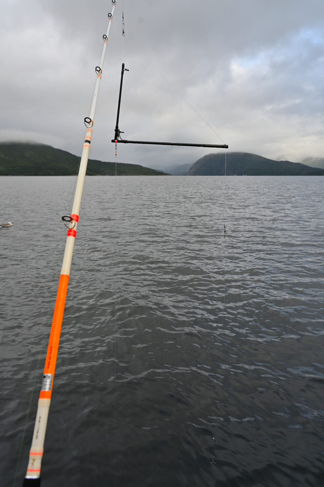 Meine Konstruktion, kurz vor dem Einsatz