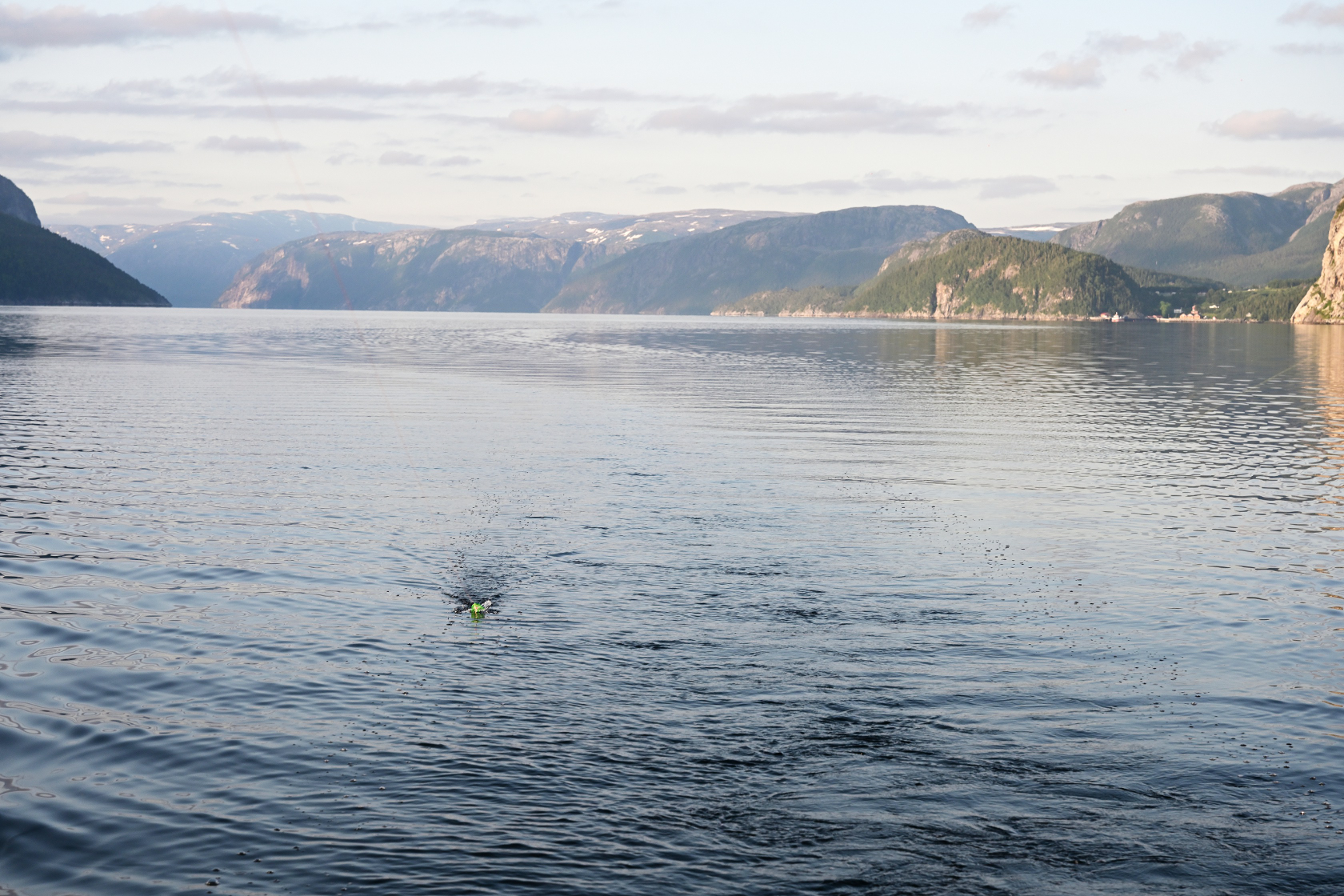 Der Paravan schwimmt auf