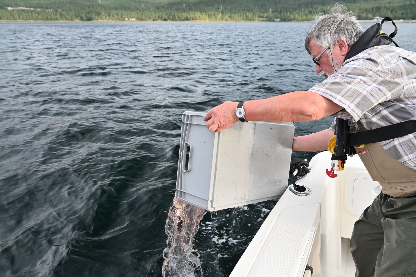 Nach einem erfolgreichen Fang