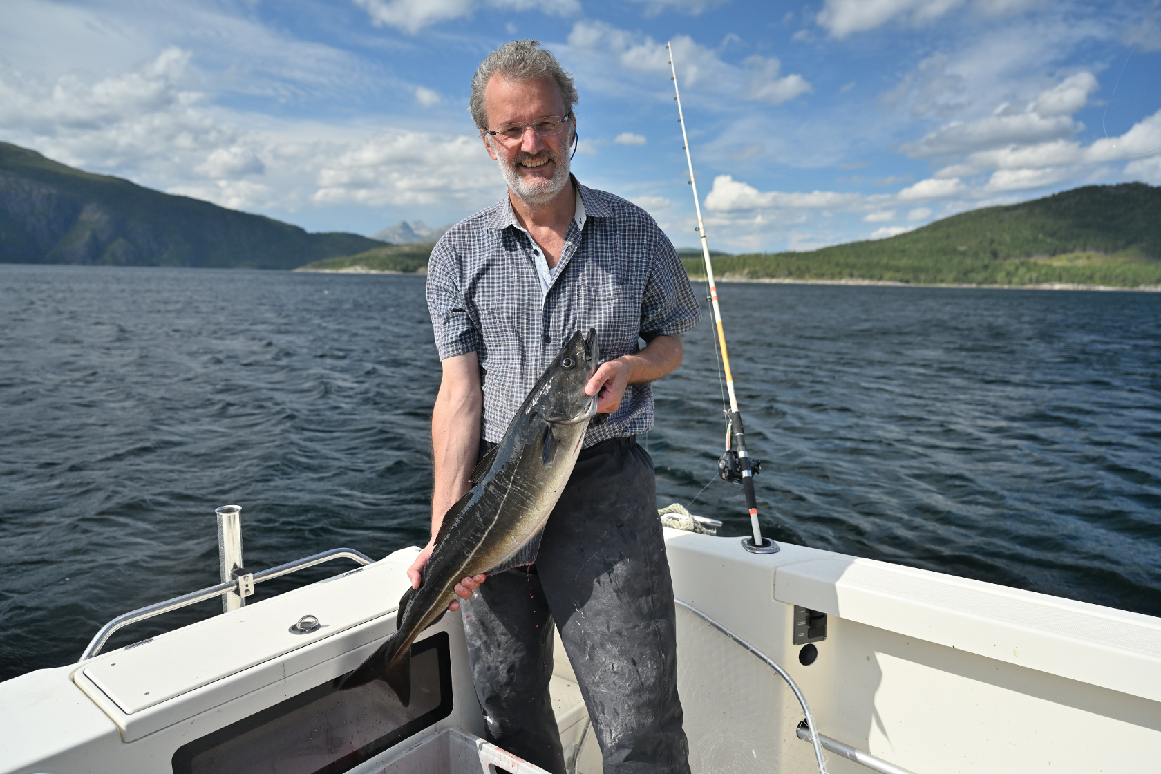 Ein Seelachs von x Zentimeter Länge, bei besten Sonnenschein gefangen