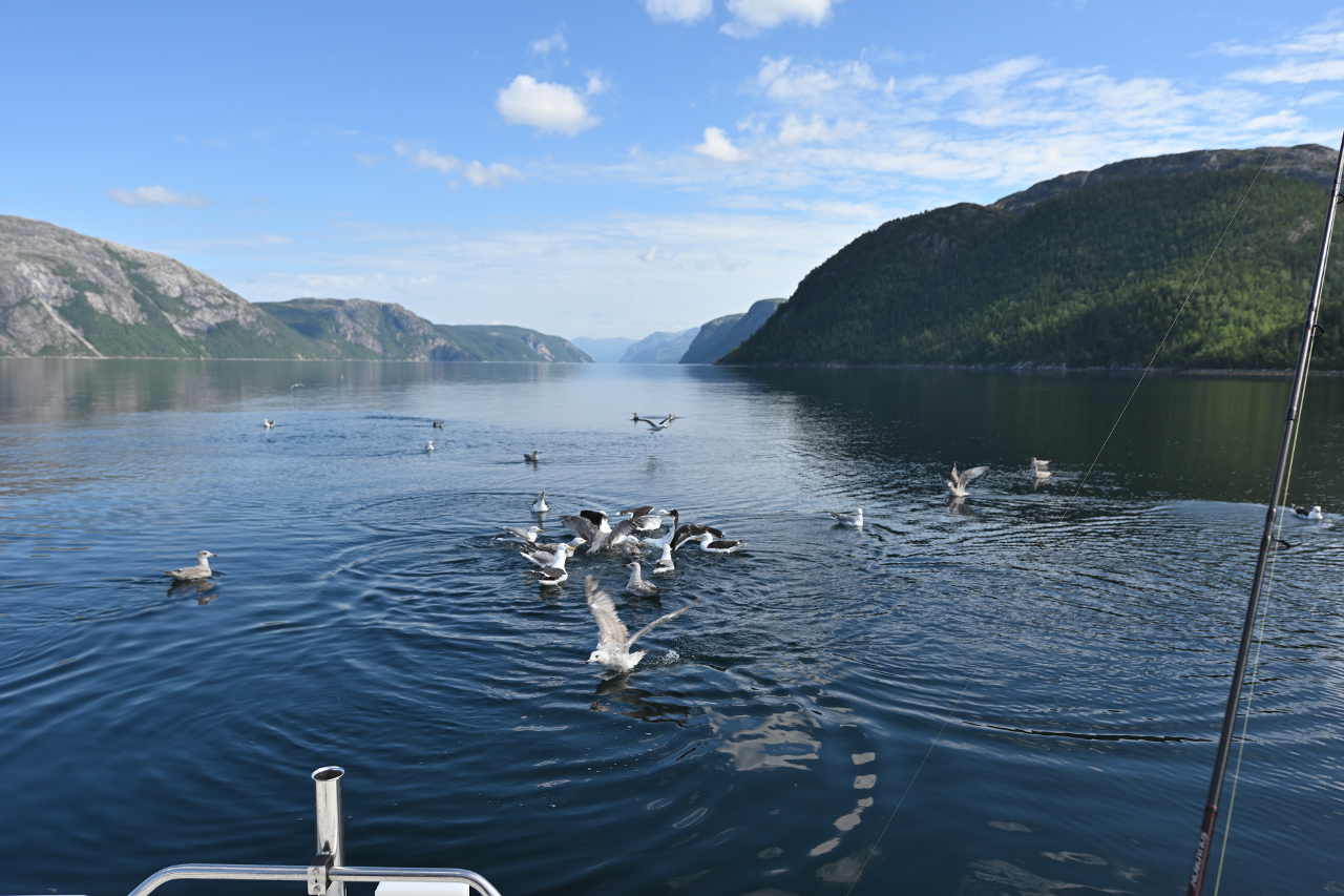 die sich gierig darauf stürzen