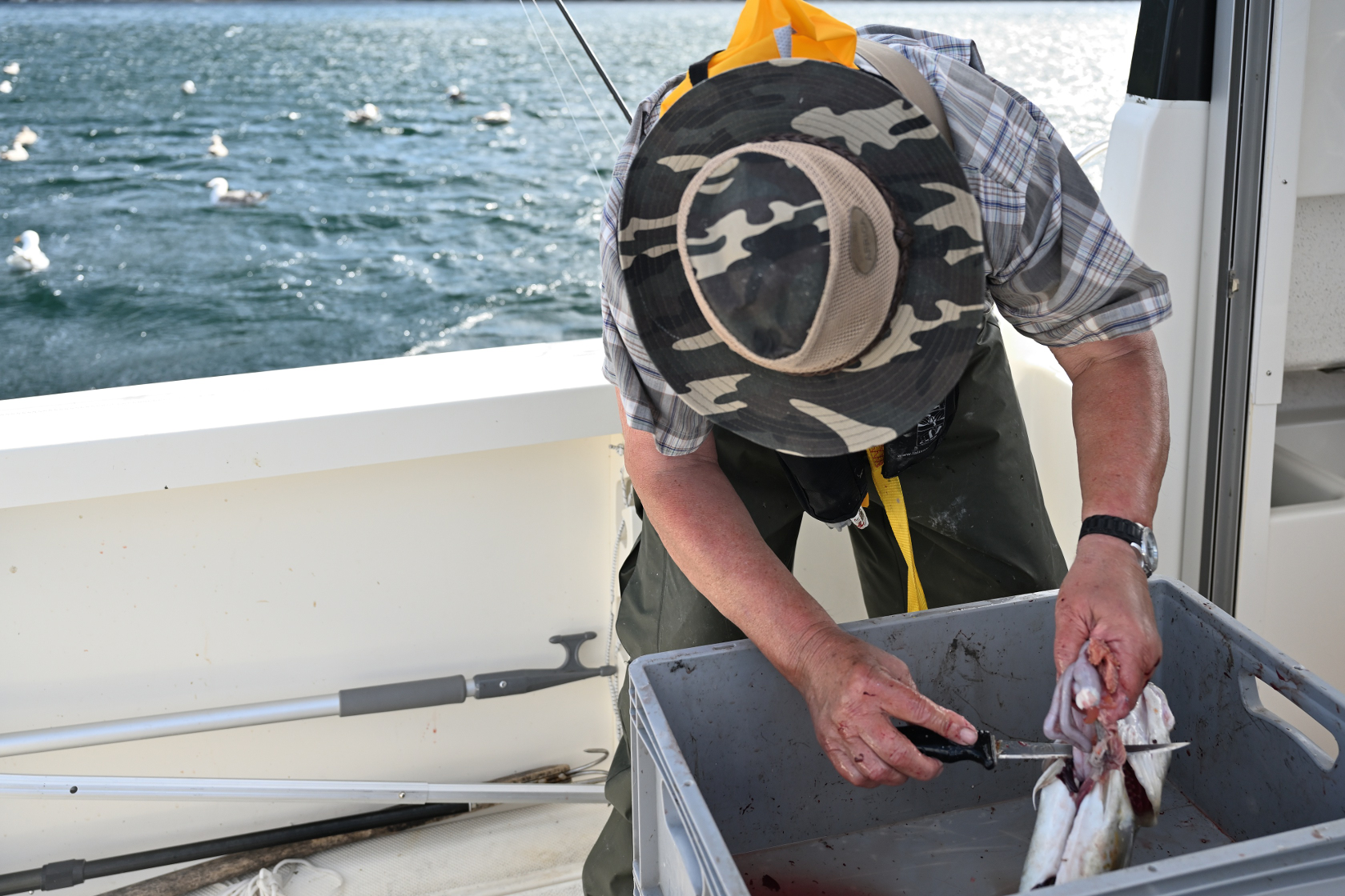 Dietmar nimmt die Fische noch an Bord wieder aus